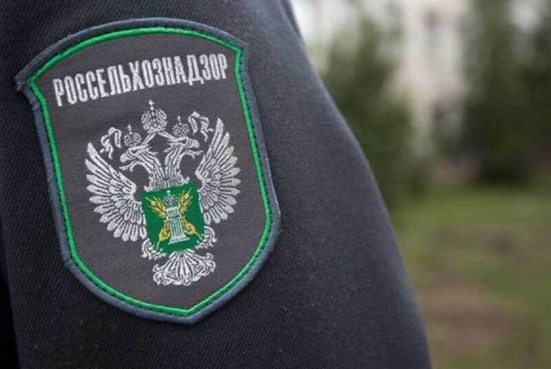 В Челябинске задержали чиновника Россельхознадзора за организацию коррупционной схемы