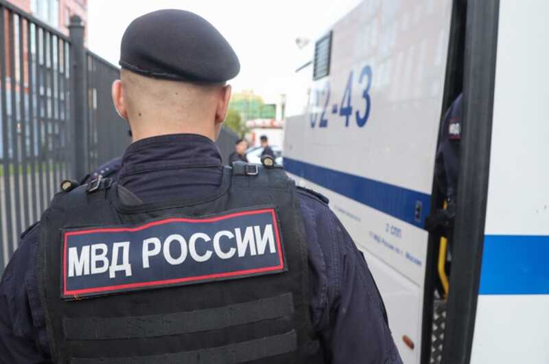 Появилась версия о возможных сообщниках в деле поклонницы Битцевского маньяка из Бердянска