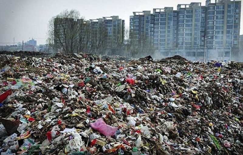 Крысы заменяют реформы: Красноярск утопает в мусоре и болезнях