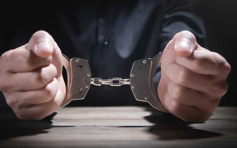 Суд в Москве поместил под домашний арест основателя «Сундука Робин Гуда»