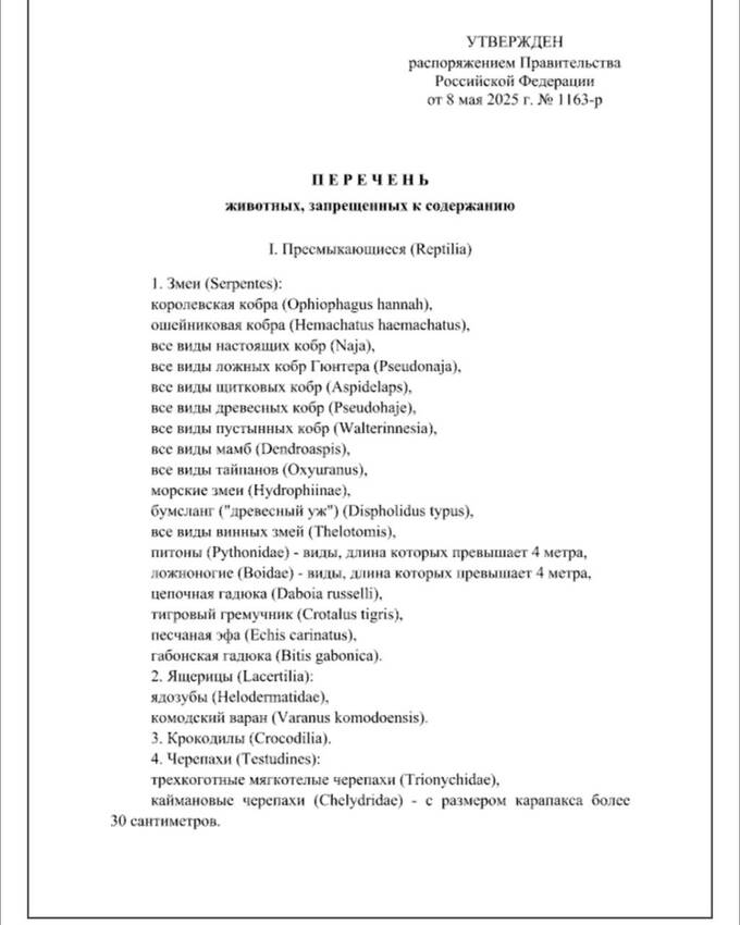 В России запретят содержать экзотических животных в домашних условиях quxidzqiddhitrkmp