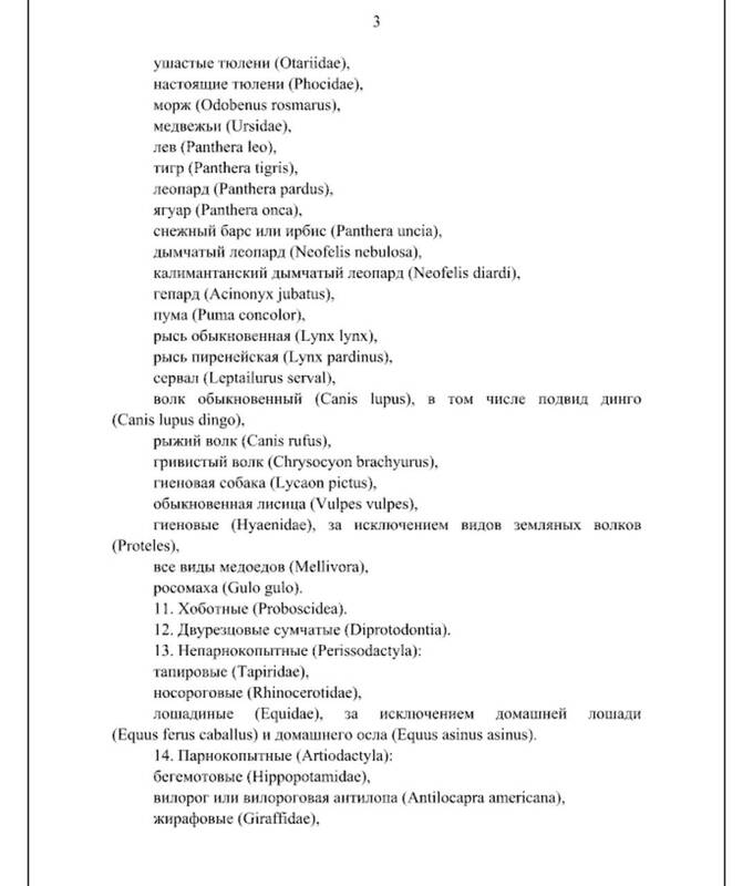 В России запретят содержать экзотических животных в домашних условиях